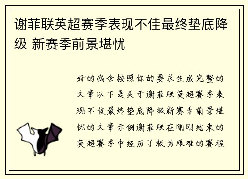 谢菲联英超赛季表现不佳最终垫底降级 新赛季前景堪忧