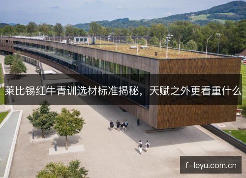 莱比锡红牛青训选材标准揭秘，天赋之外更看重什么